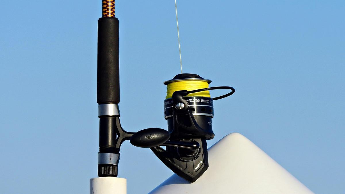 Equipamiento Esencial para la Pesca de Sardinas