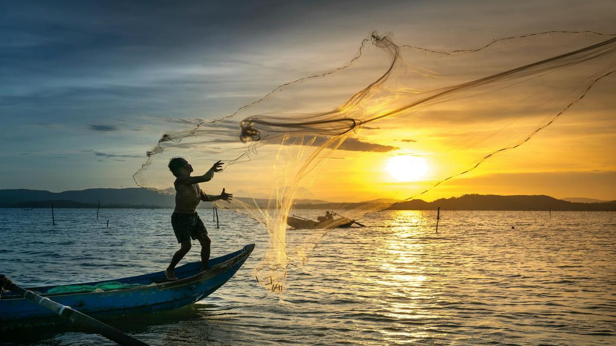 Impactos ambientais da pesca em ecossistemas aquáticos: o lado sombrio