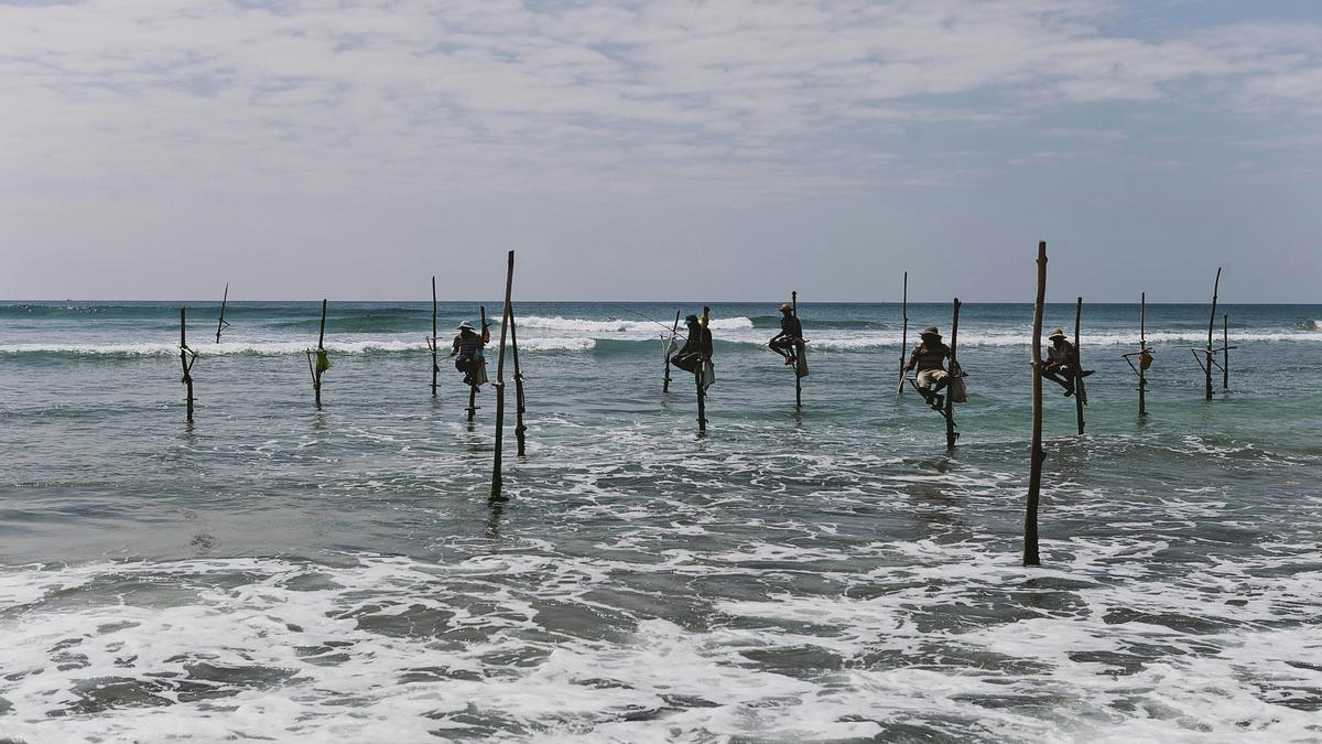 Técnicas Efectivas para Mejorar la Pesca de Sardinas